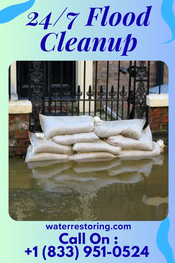 24/7 Flood Cleanup in Rosebush, MI