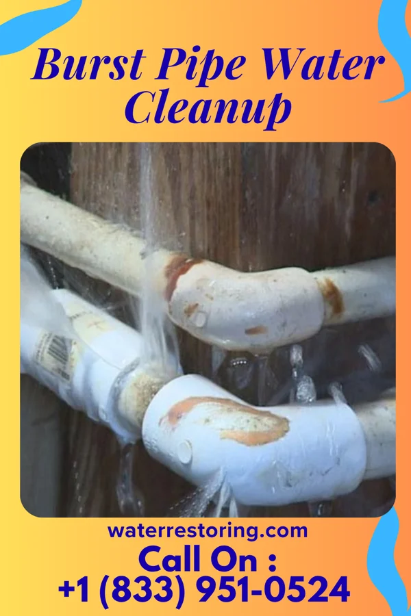 Burst Pipe Water Cleanup in Rosebush, MI