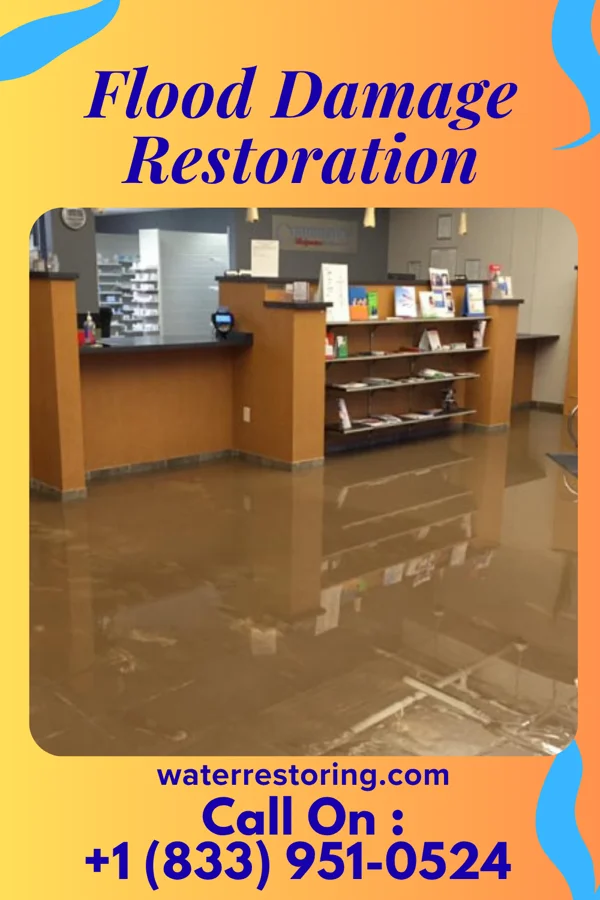 Flood Damage Restoration in Rosebush, MI