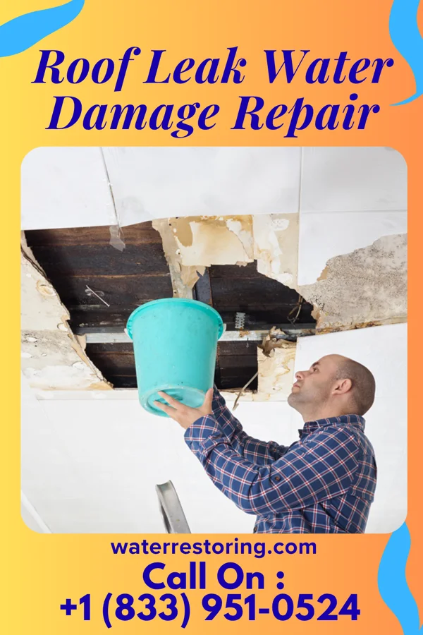 Roof Leak Water Damage Repair in Rosebush, MI